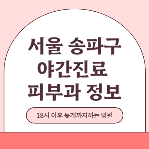 서울 송파구 야간진료 피부과 병원 (18시 이후 늦게까지하는 병원)