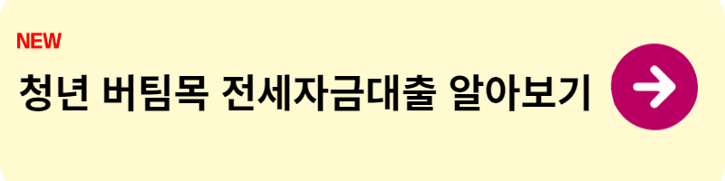 청년도약계좌