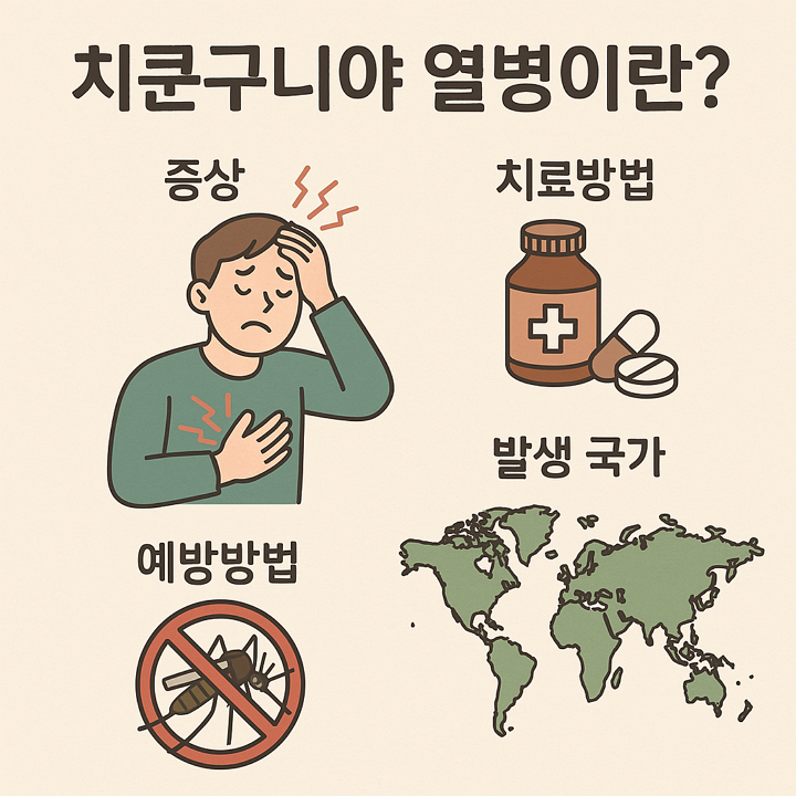 치쿤구니야 열병이란? 증상, 치료방법, 예방방법, 발생 국가