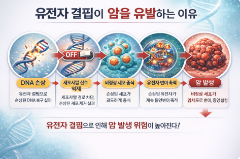 유전자 결핍이 암을 유발하는 이유