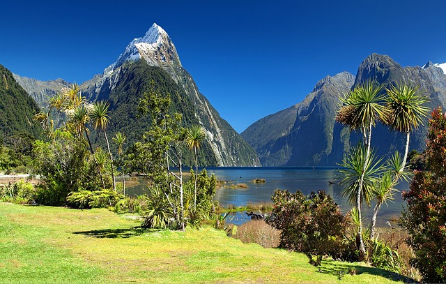 Milford Sound
뉴질랜드
밀퍼드 사운드
퀸즈타운