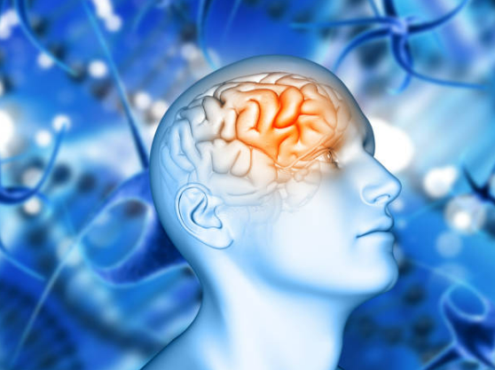 뇌과학적 근거 우리는 왜 불안할까