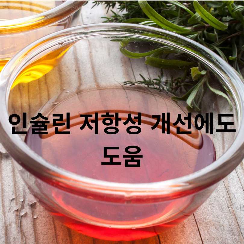 레드와인비니거, 당뇨를 다스리는 붉은 비밀?