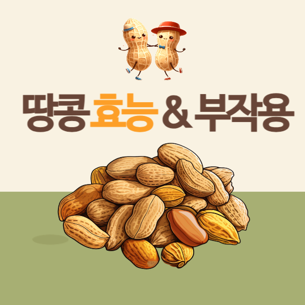 땅콩 효능 : 땅콩의 다양한 건강 효능과 부작용