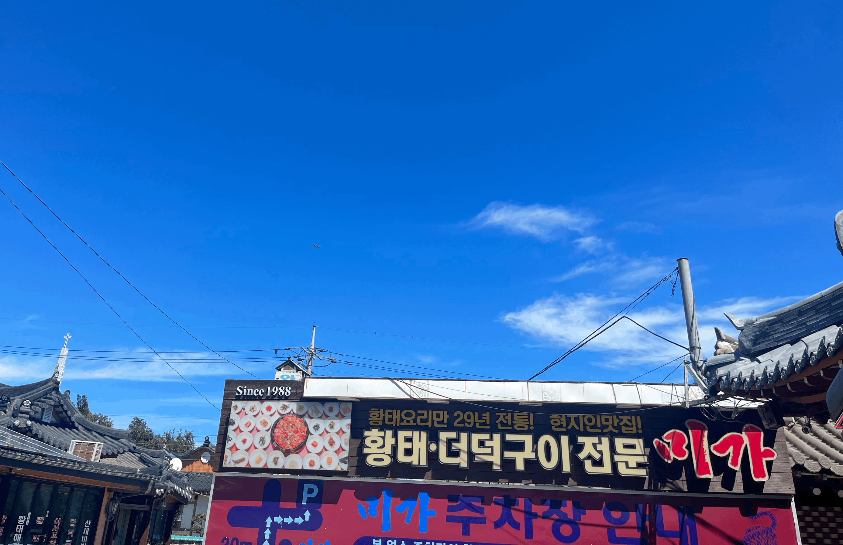 양양-황태구이-맛집