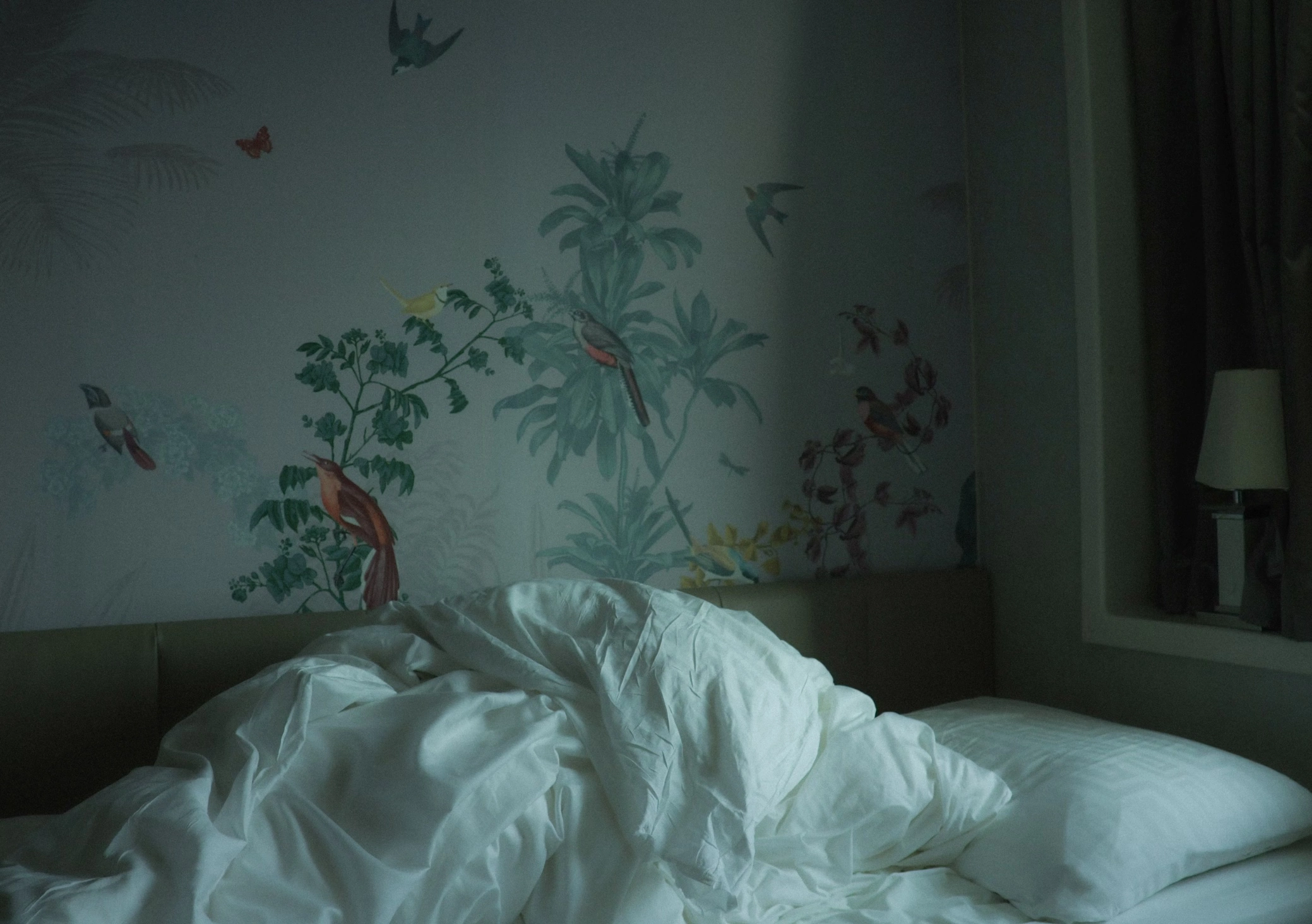 자나팜 과다복용