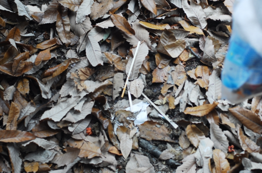 플로깅 이미지사진입니다.