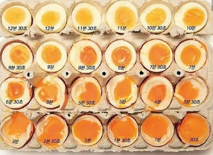 완벽한 반숙으로 삶아진 계란 단면