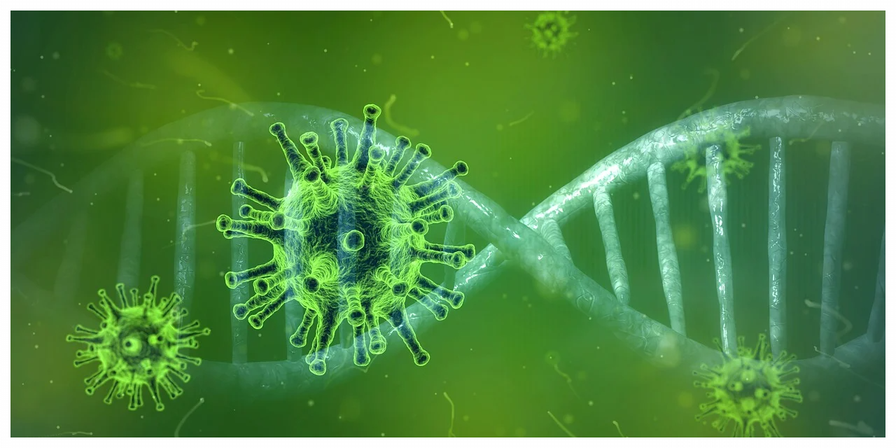 코로나 예방접종 비용 상세 안내