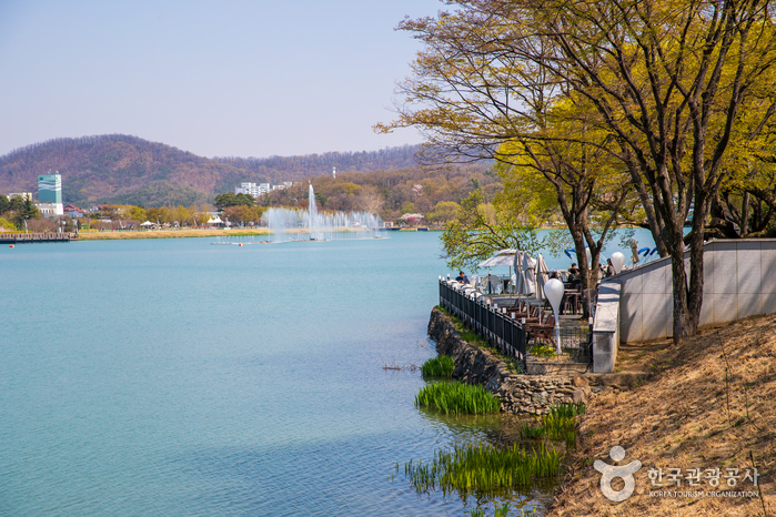 8월 국내 여행지 추천 베스트