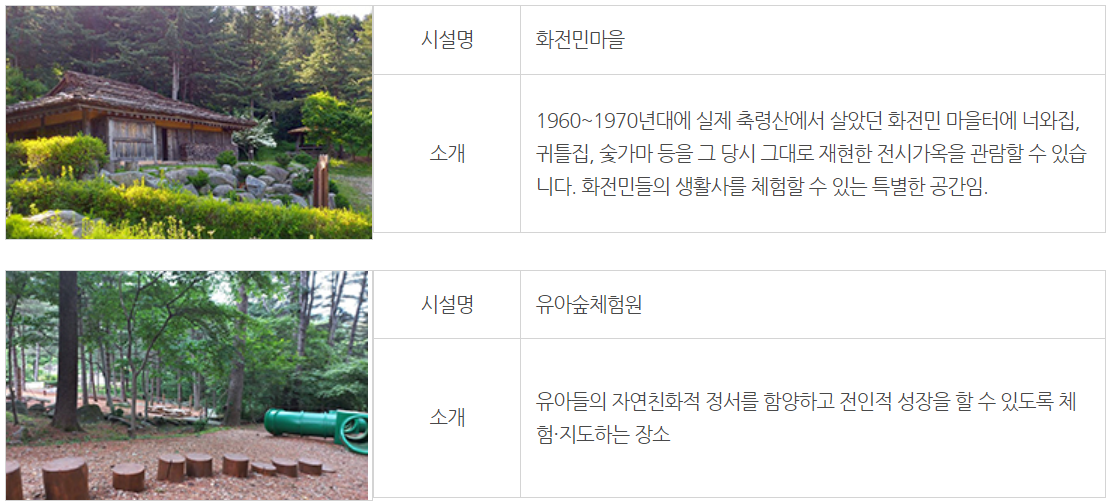 잣향기 푸른숲