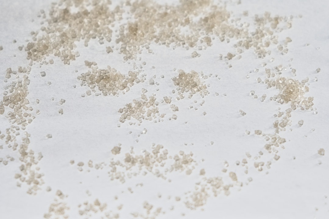 Dust mite