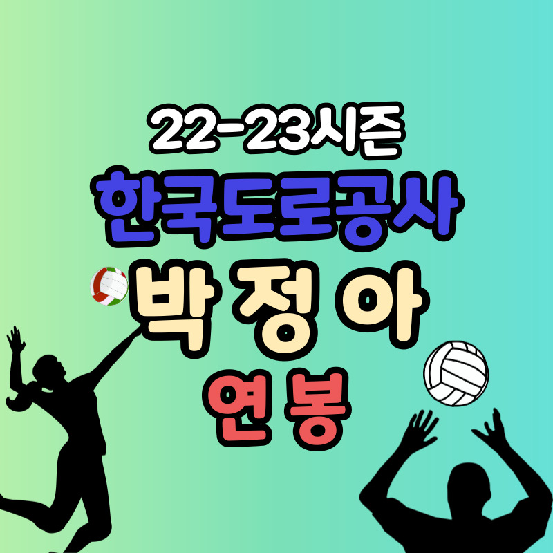 한국도로공사 박정아 배구선수 연봉