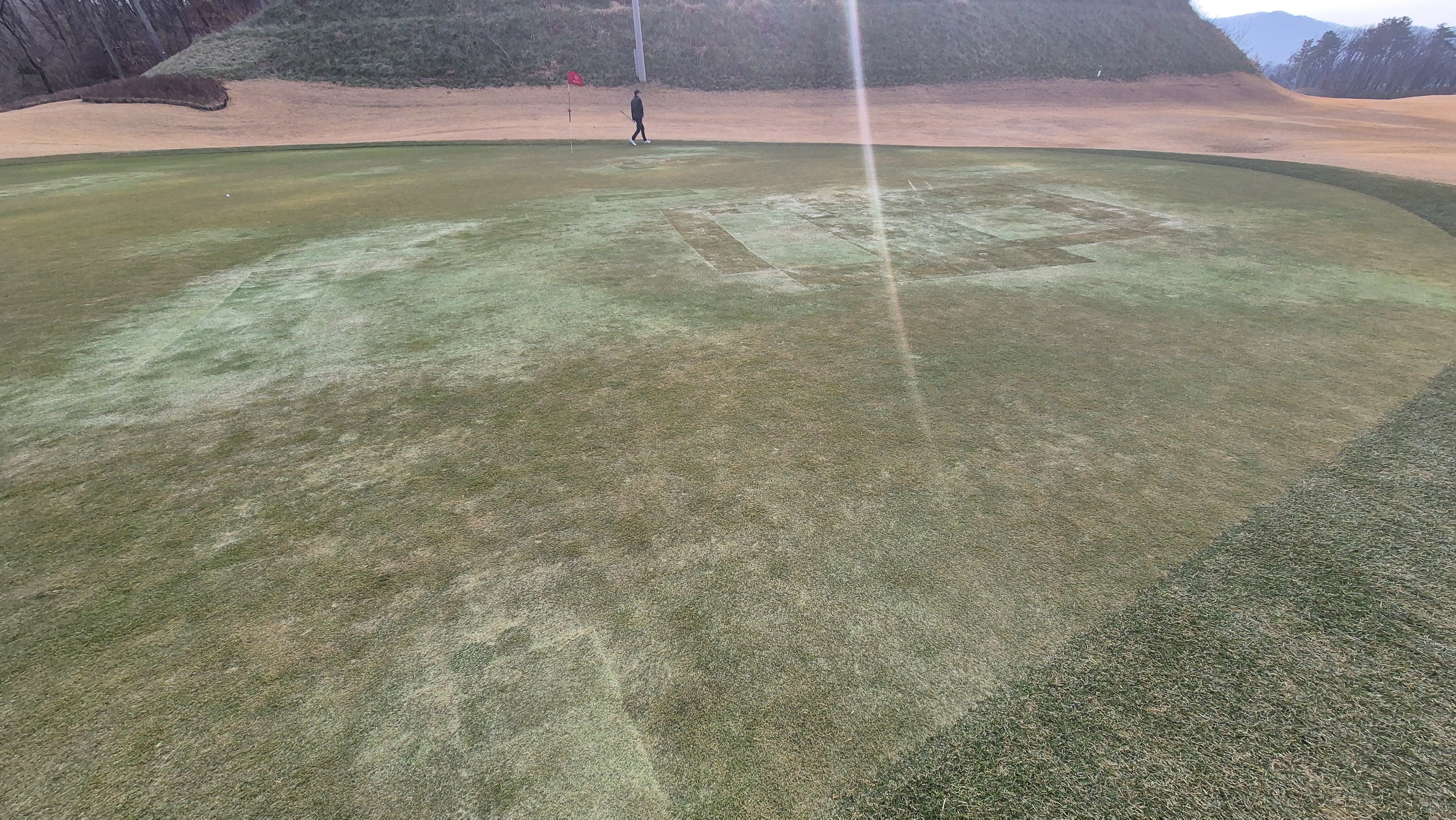 모나크cc 라운드 후기 그린관리상태