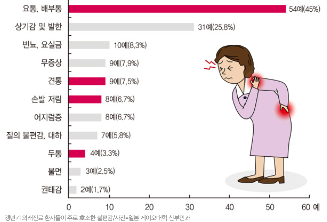 갱년기-증상