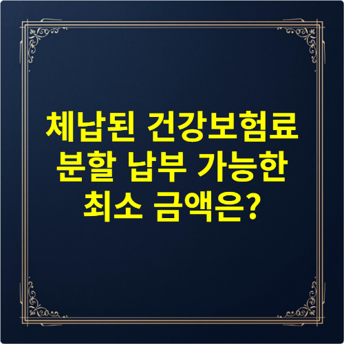 체납된 건강보험료 분할 납부 가능한 최소 금액은