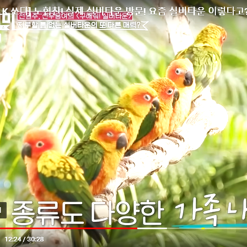 청심빌리지 근처 가평 베고니아새정원