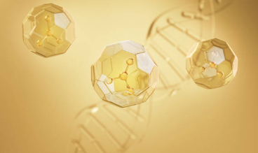 피로회복에 좋은 아미노산