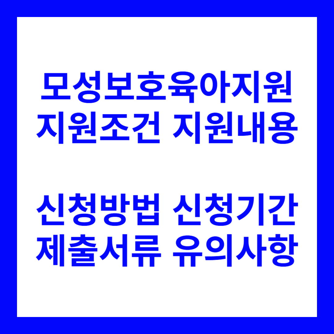 모성보호육아지원