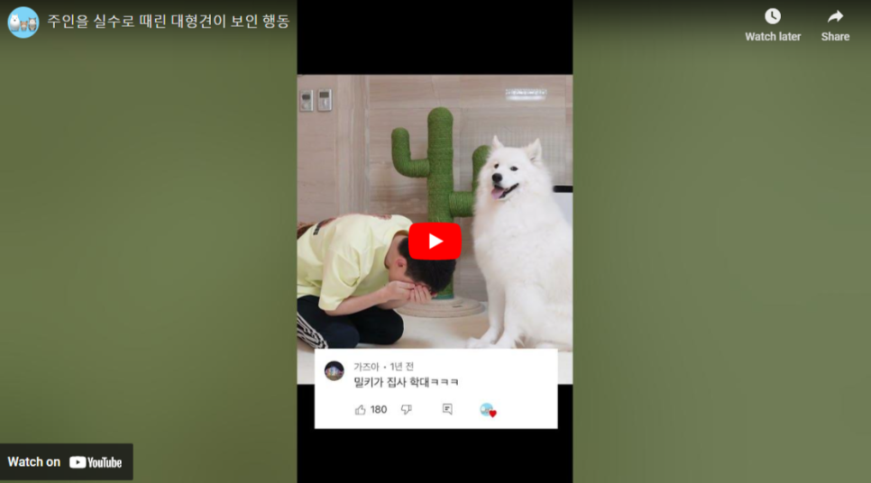밀키복이탄이 영상 분석