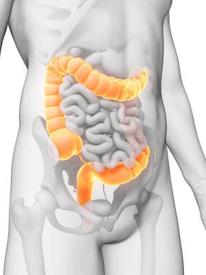 차전자피 효능 먹는법 부작용 (2주 섭취 후기)