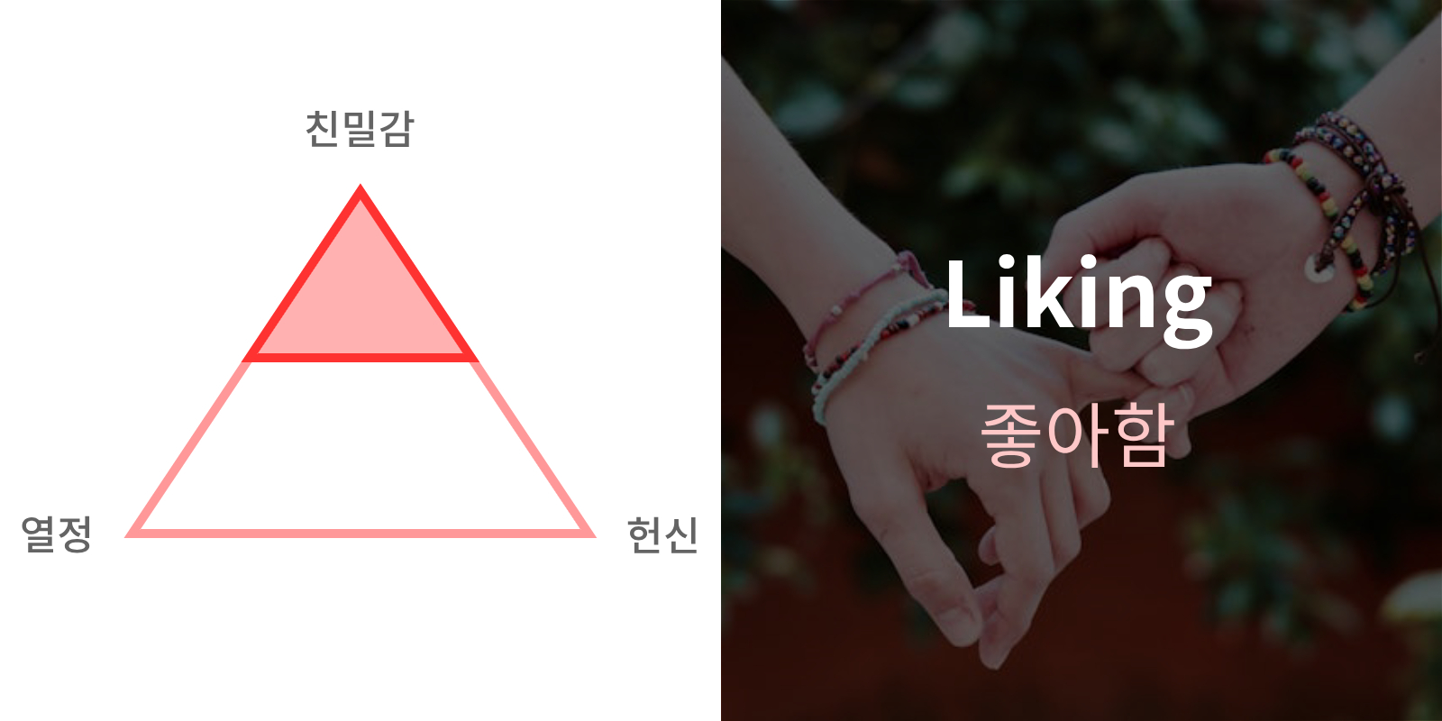 사랑의 형태 Liking