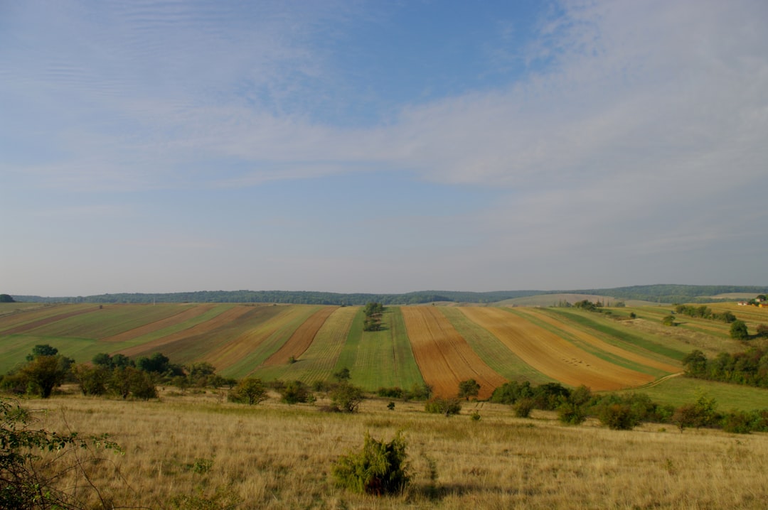 Land Registry