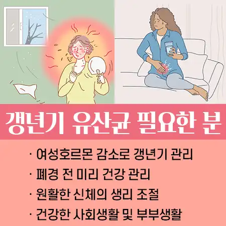 갱년기 유산균 효능