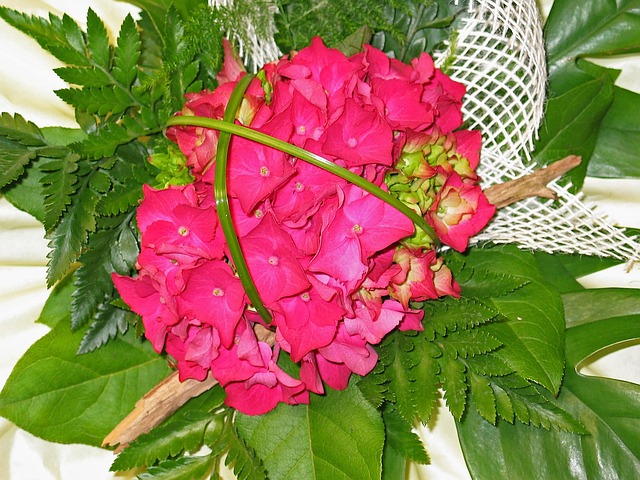 아침고요수목원 수국전시회