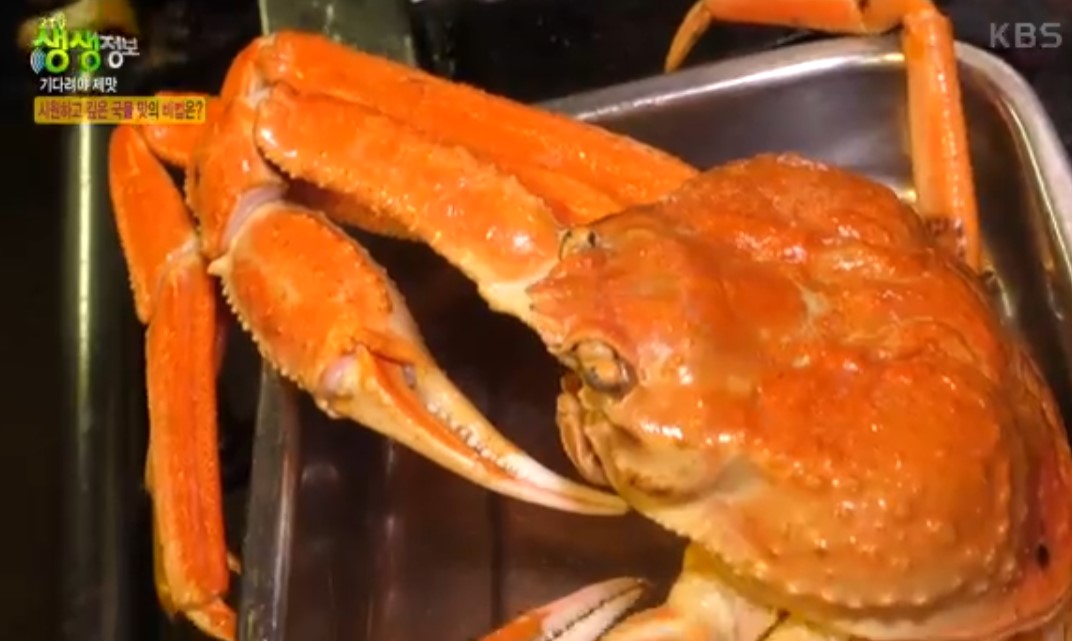 생생정보-홍백샤브샤브