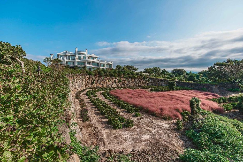 10월 지역축제 제주 가을 축제 핑크뮬리