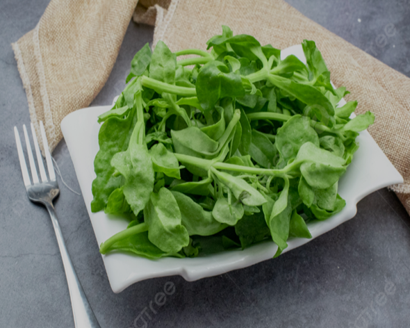 천심련 원물 복용