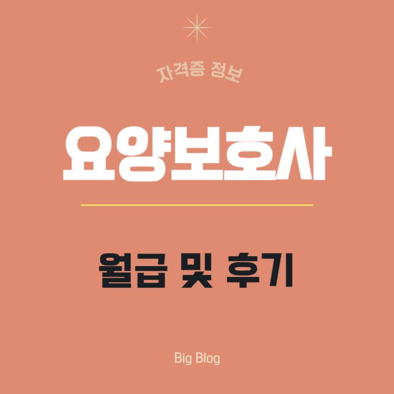 요양보호사 월급 및 후기