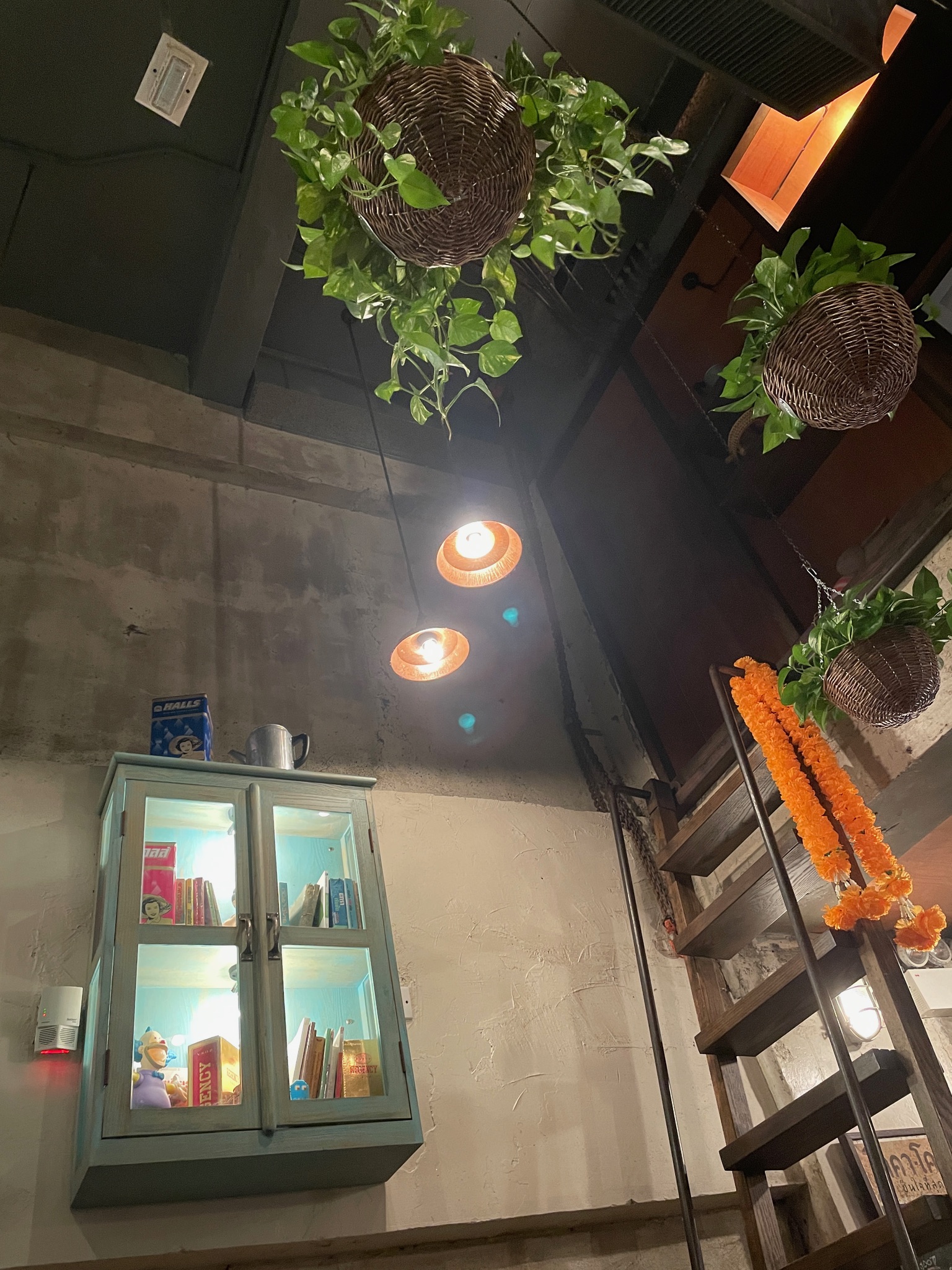 홍콩 삼센 내부 사진 층고