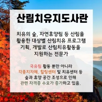 산림치유지도사 교육과정 프로그램기획 현장실습 취업처_14