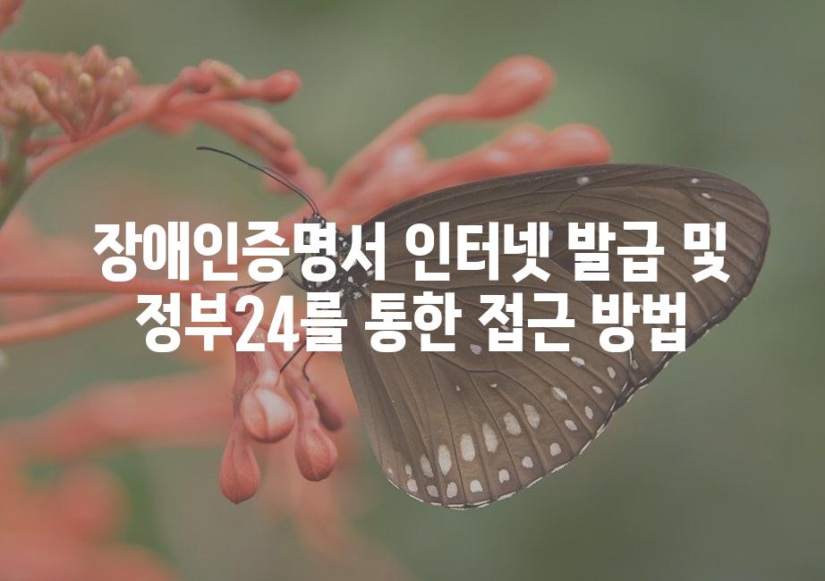 샘플 (51)
