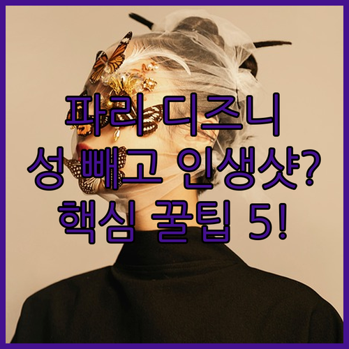 파리 디즈니랜드 성 제외 숨겨진 인생..