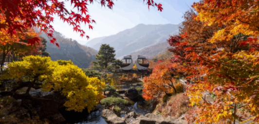 단풍시기