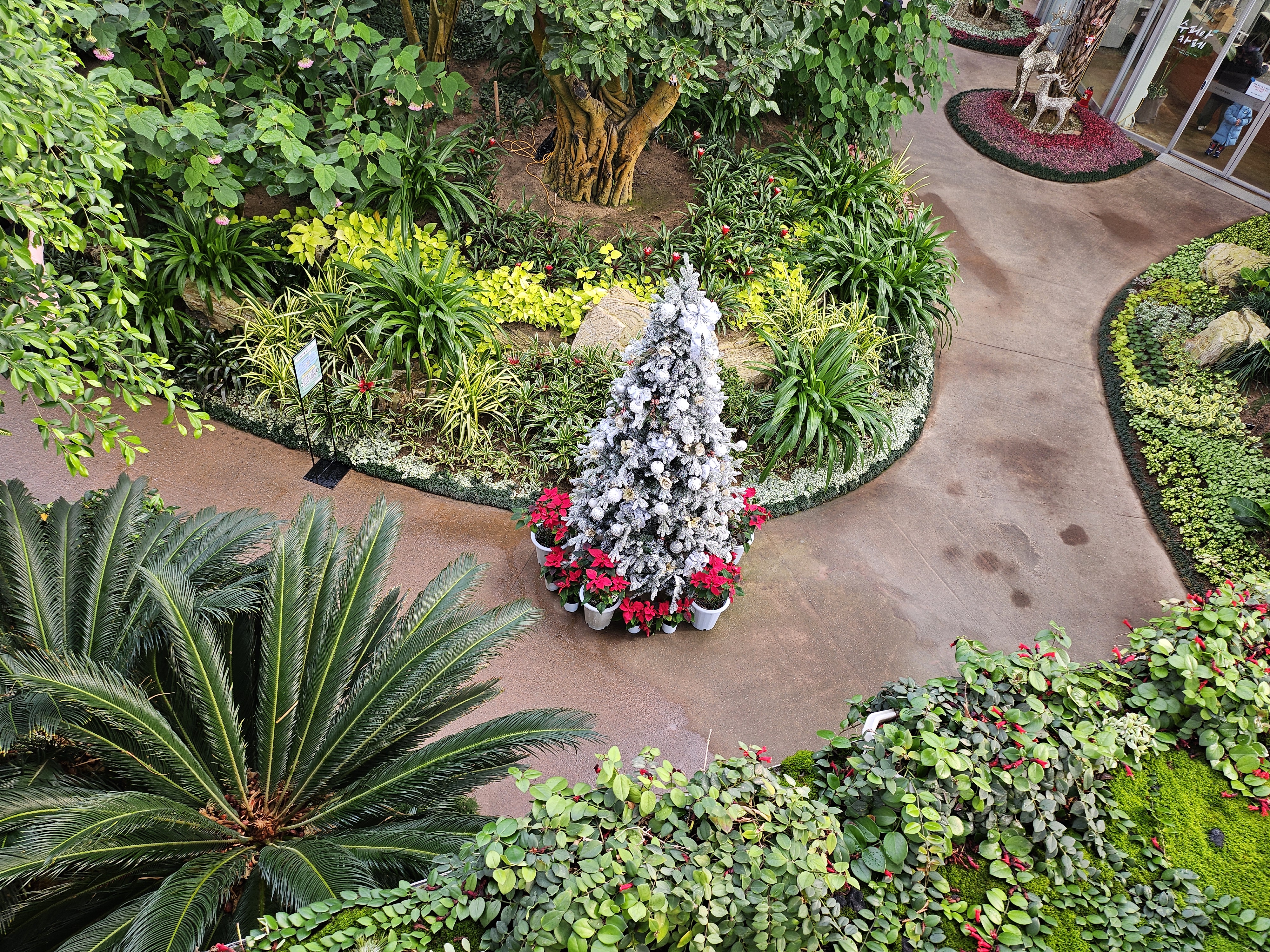 겨울 실내 아이와 가볼만한곳 부천호수공원 식물원 수피아