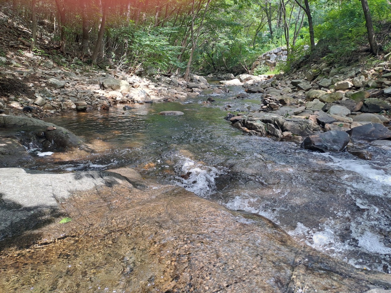 용현자연휴양림