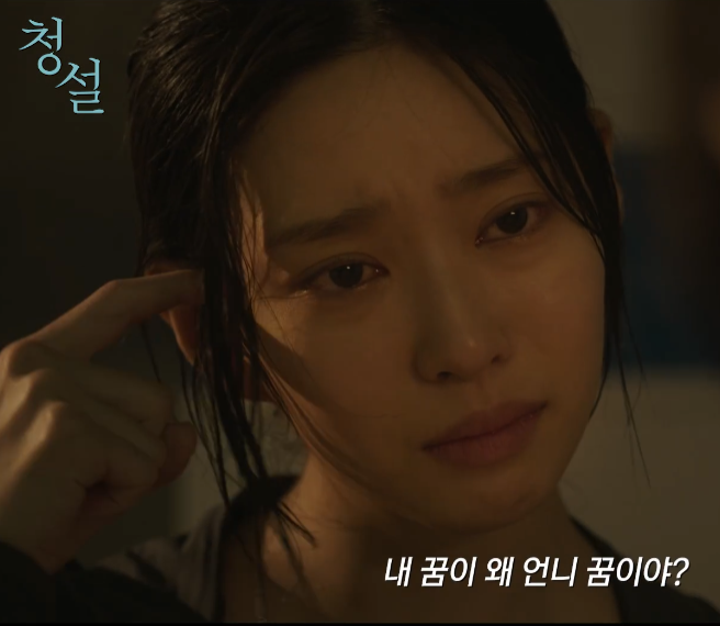 영화 청설 정보