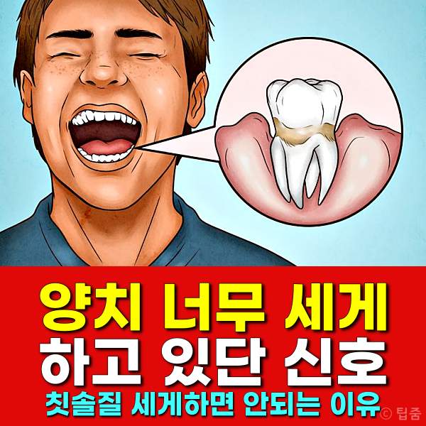 양치 세게하면,양치 세기,칫솔질 세게하면 이가 시려요