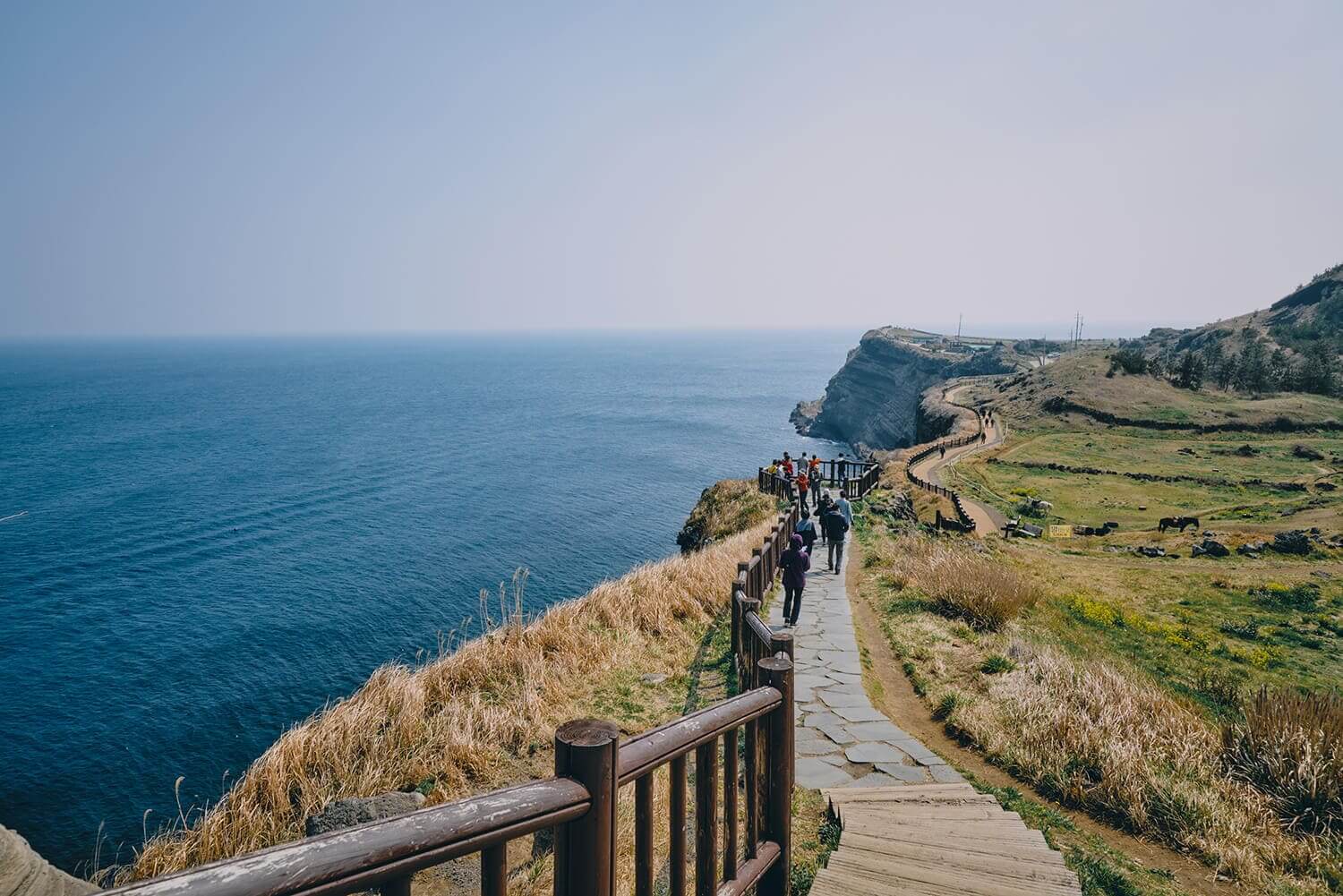 초보자도 쉽게 도전! 걷기 좋은 올레길 BEST 5 🌿