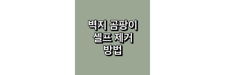 벽지-곰팡이-셀프-제거-방법