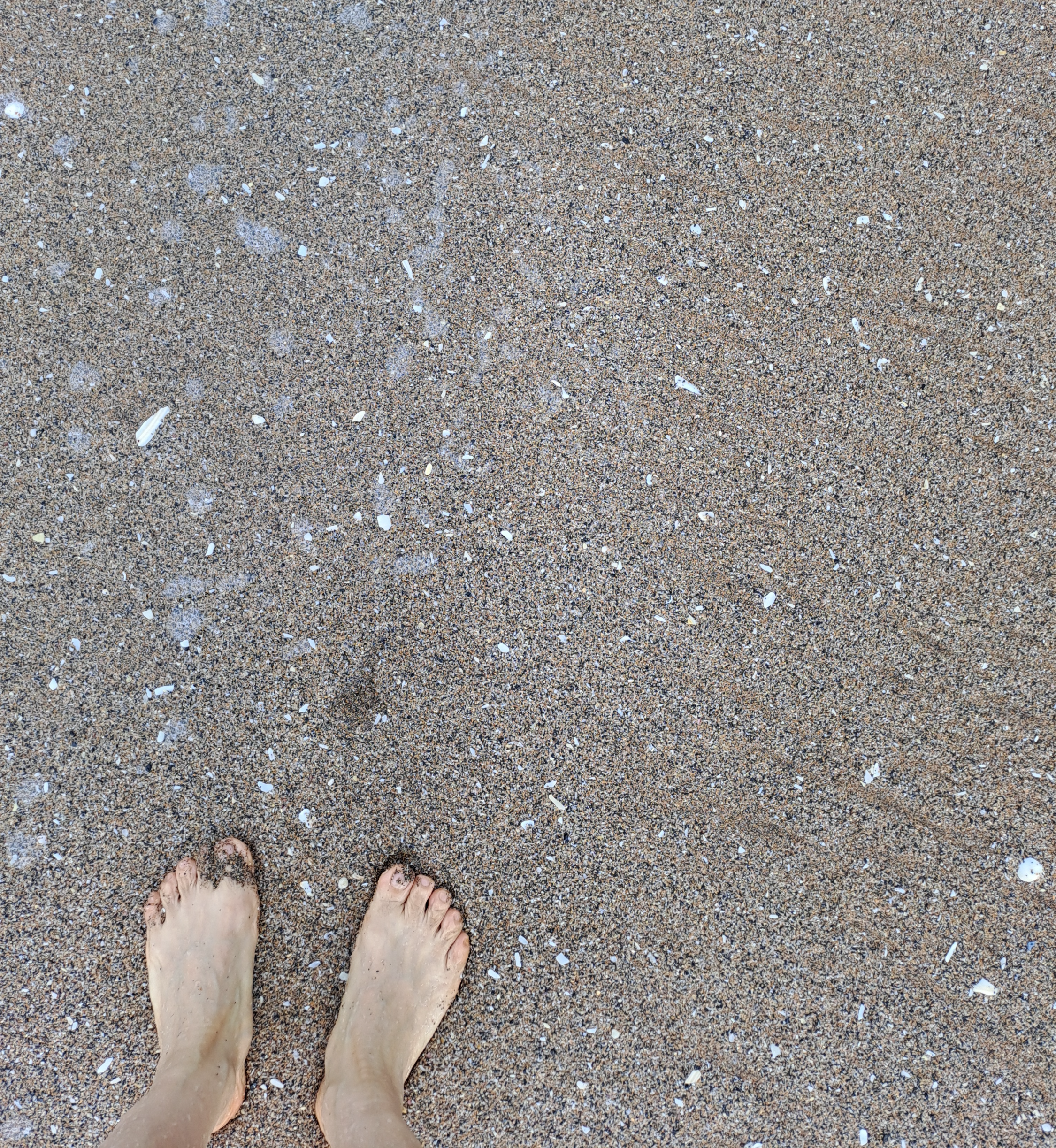 맨발걷기의 놀라운 효능 땅과의 교감으로 건강을