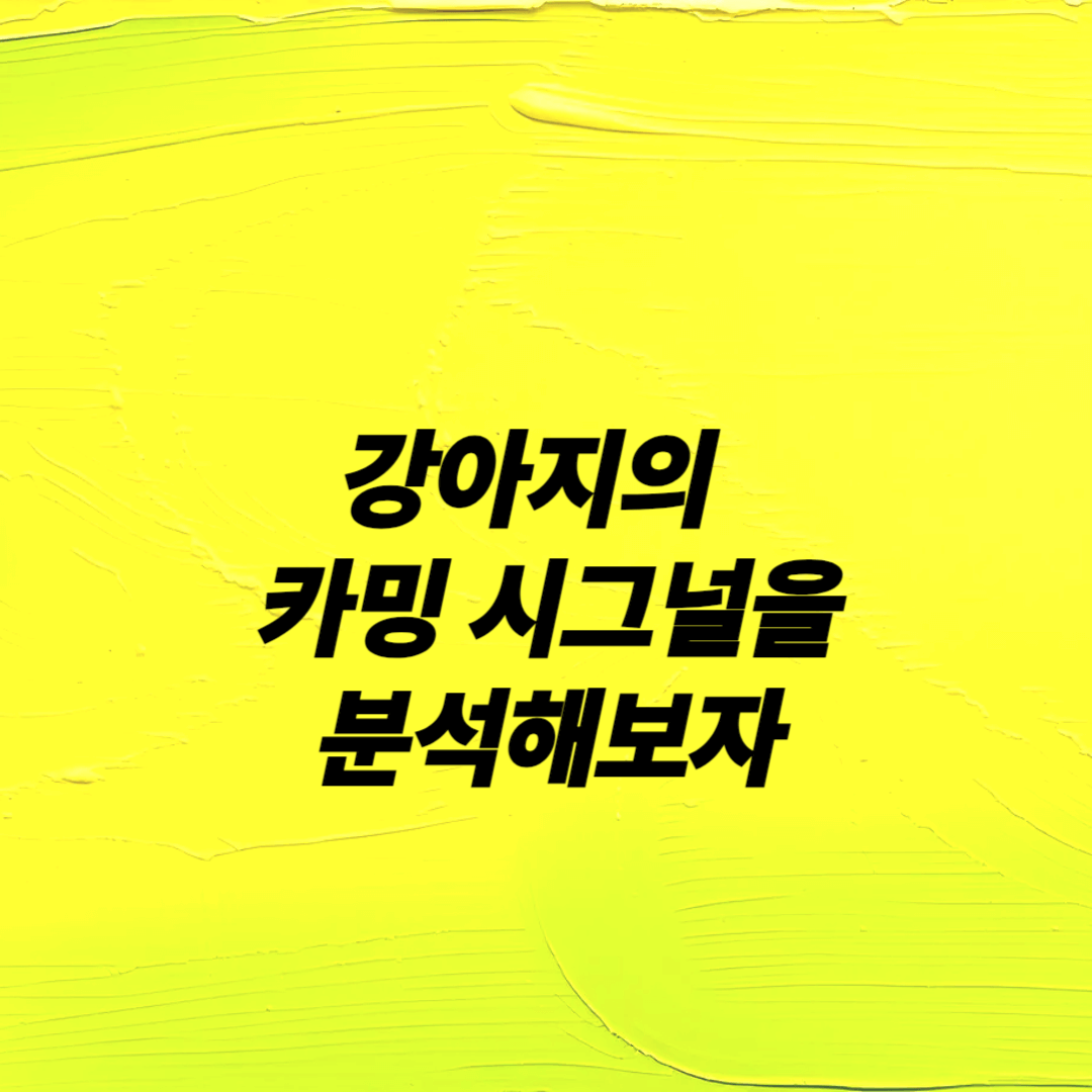 우리 집 강아지가 보내는 신호 해석하기 강아지 행동분석