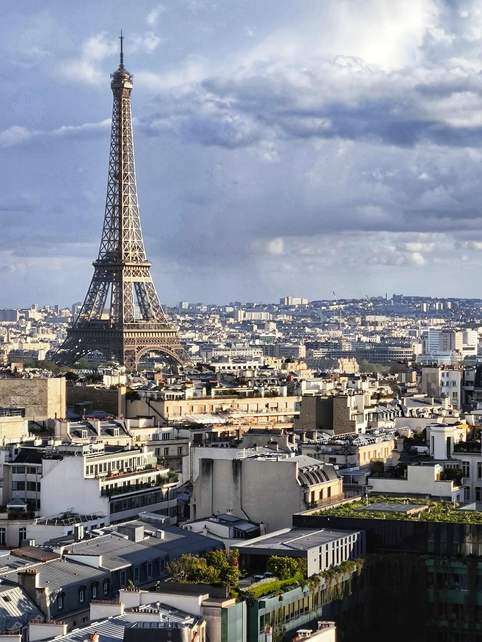 유럽의 행동과 경제학적인 전략 비교