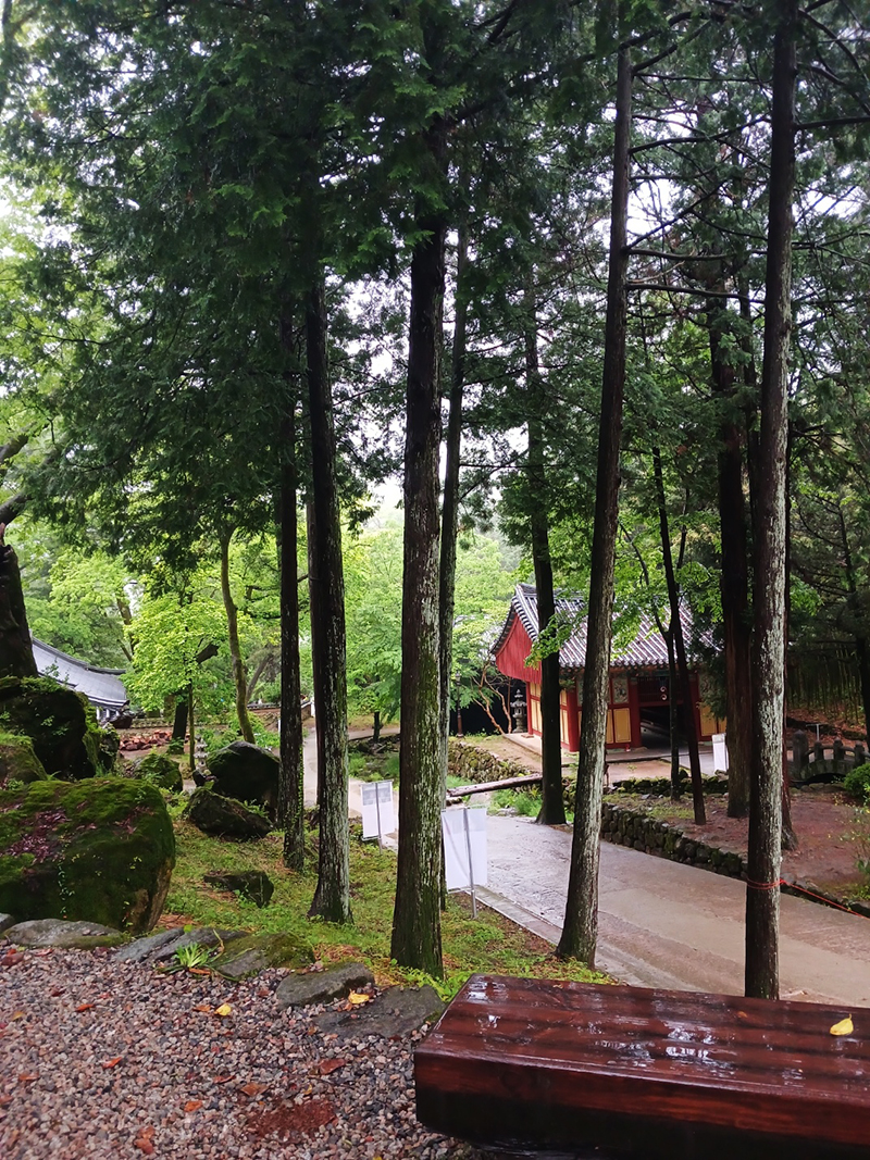 경남 쌍계사 템플스테이 신청 방법