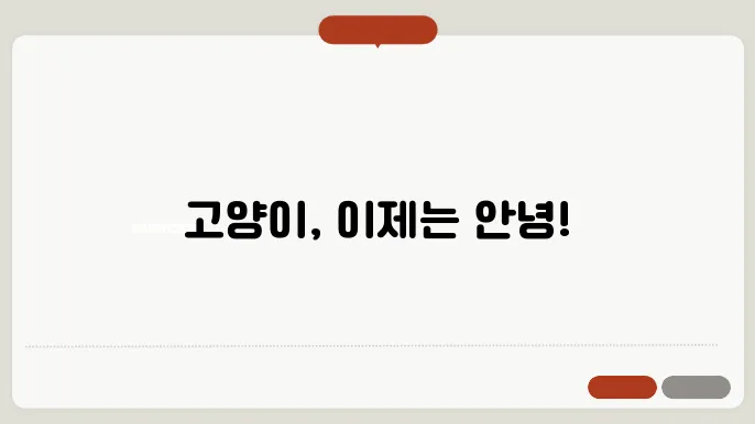 고양이 퇴치법