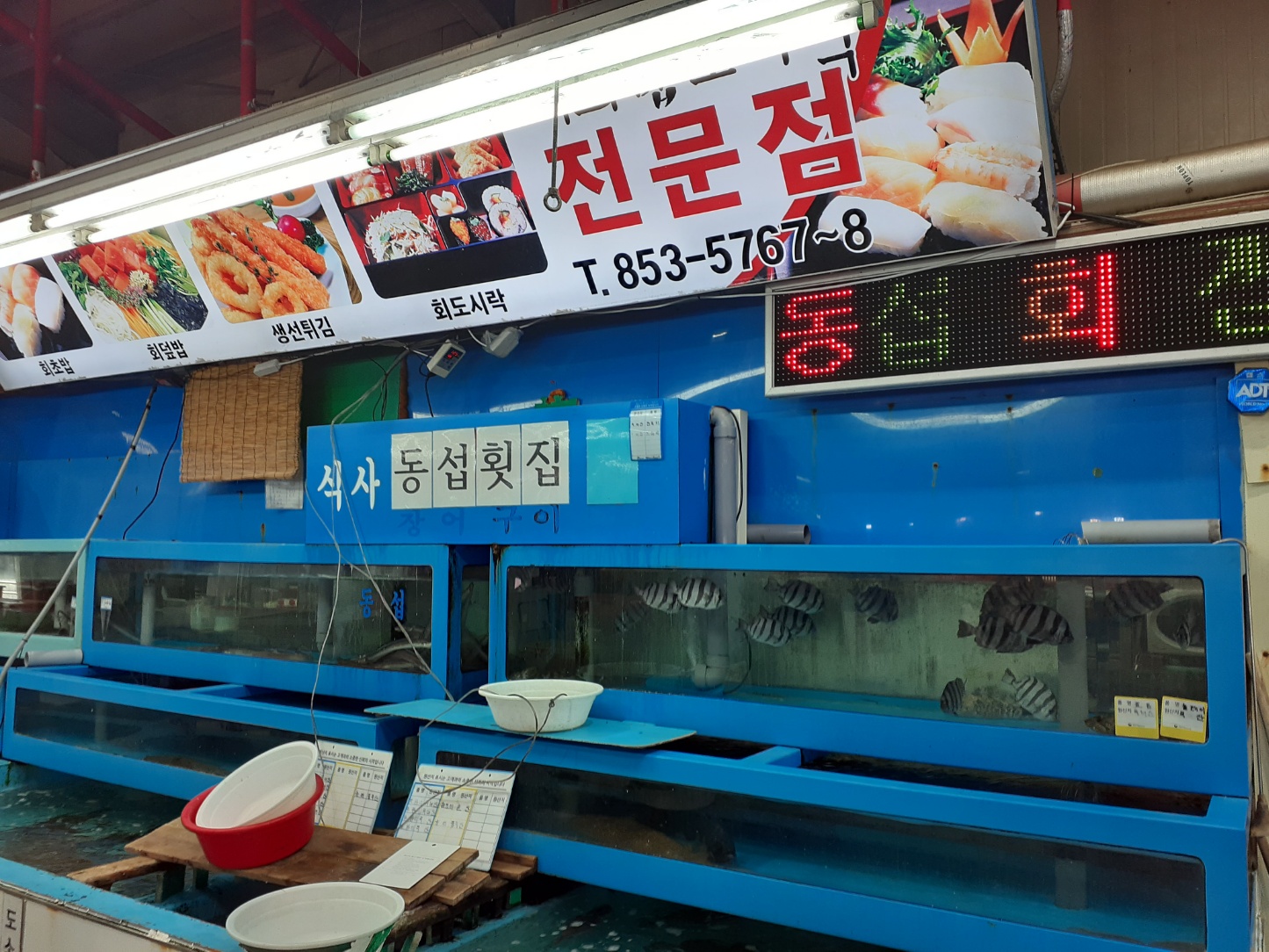 동섭회센타
